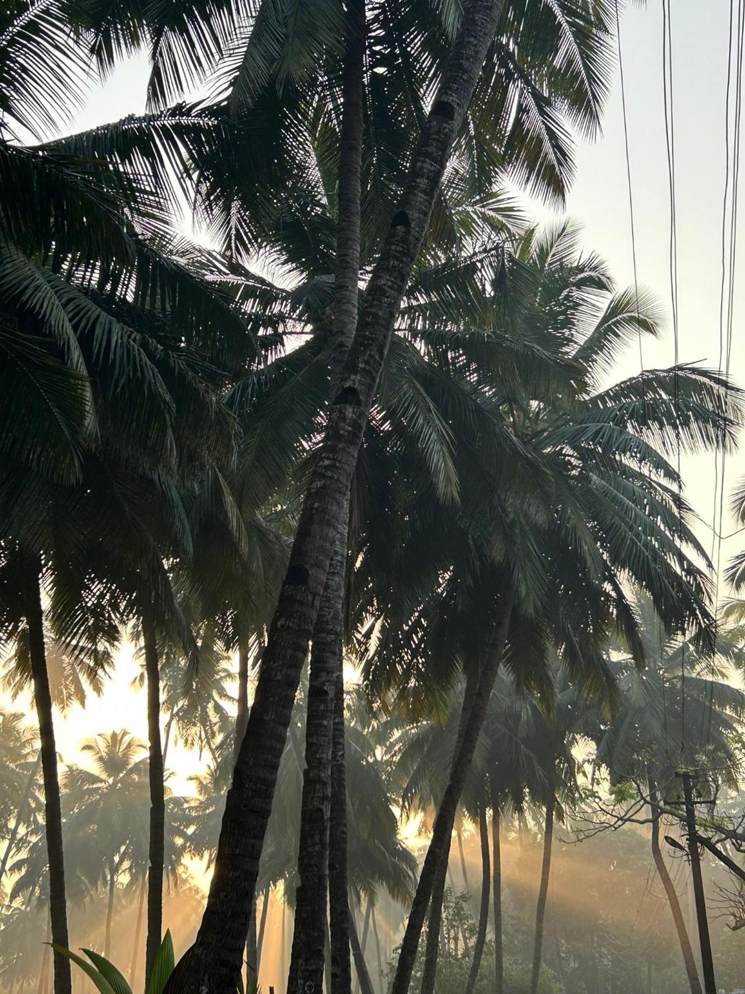 The Bungalow Bogmalo An 1880 Indo Portuguese Heritage Beach Villa South Goa ภายนอก รูปภาพ