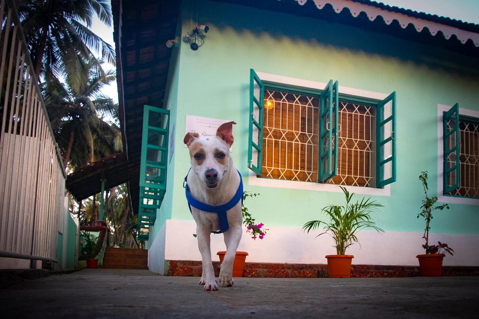 The Bungalow Bogmalo An 1880 Indo Portuguese Heritage Beach Villa South Goa ภายนอก รูปภาพ