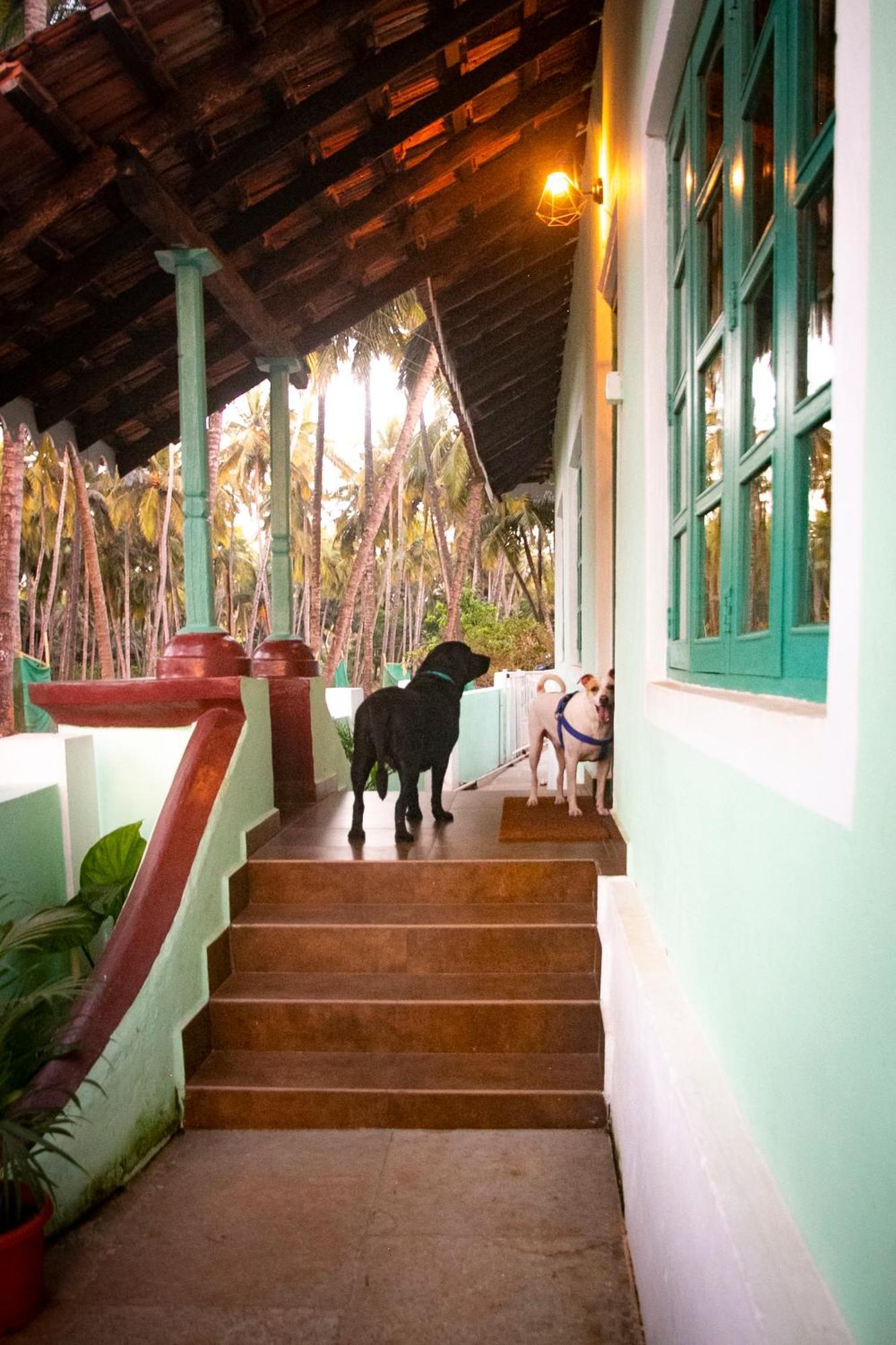 The Bungalow Bogmalo An 1880 Indo Portuguese Heritage Beach Villa South Goa ภายนอก รูปภาพ